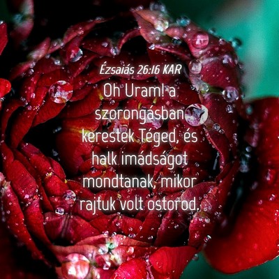 Picture 04 - Ézsaiás 26:16 KAR - Oh Uram! a szorongásban kerestek Téged, és - Bible Verse Picture