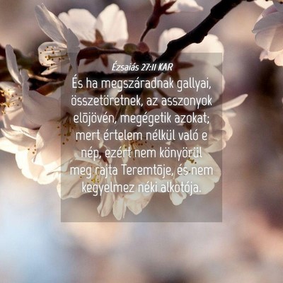 Picture 04 - Ézsaiás 27:11 KAR - És ha megszáradnak gallyai, összetöretnek, az - Bible Verse Picture