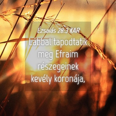 Picture 04 - Ézsaiás 28:3 KAR - Lábbal tapodtatik meg Efraim részegeinek - Bible Verse Picture