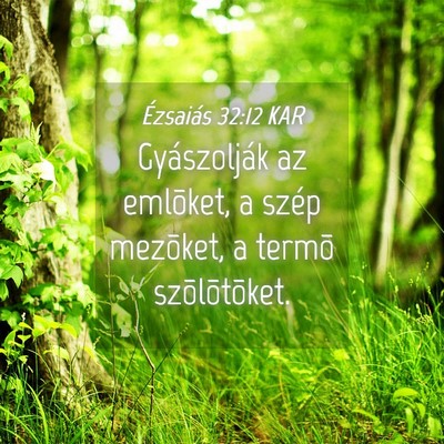 Picture 04 - Ézsaiás 32:12 KAR - Gyászolják az emlõket, a szép mezõket, a - Bible Verse Picture