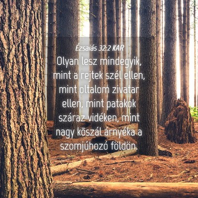 Picture 04 - Ézsaiás 32:2 KAR - Olyan lesz mindegyik, mint a rejtek szél ellen, - Bible Verse Picture