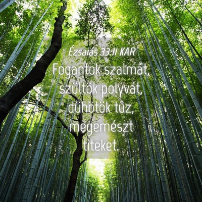 Picture 04 - Ézsaiás 33:11 KAR - Fogantok szalmát, szültök polyvát, dühötök - Bible Verse Picture