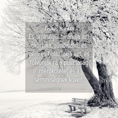 Picture 04 - Ézsaiás 34:11 KAR - És örökségül bírándja azt ökörbika, - Bible Verse Picture