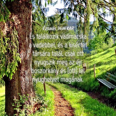 Picture 04 - Ézsaiás 34:14 KAR - És találkozik vadmacska a vadebbel, és a - Bible Verse Picture