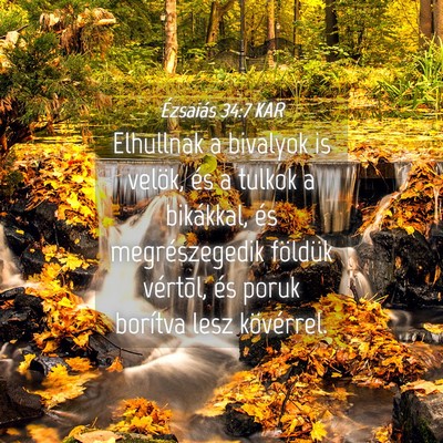 Picture 04 - Ézsaiás 34:7 KAR - Elhullnak a bivalyok is velök, és a tulkok a - Bible Verse Picture