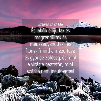 Picture 04 - Ézsaiás 37:27 KAR - És lakóik elájultak és megrendültek és - Bible Verse Picture