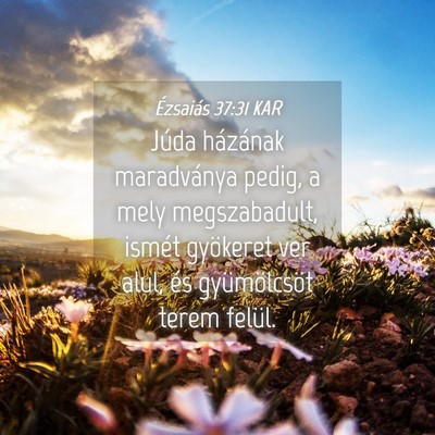 Picture 04 - Ézsaiás 37:31 KAR - Júda házának maradványa pedig, a mely - Bible Verse Picture