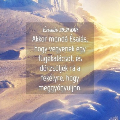 Picture 04 - Ézsaiás 38:21 KAR - Akkor mondá Ésaiás, hogy vegyenek egy - Bible Verse Picture