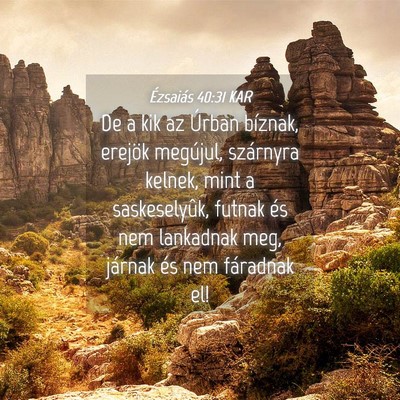 Picture 04 - Ézsaiás 40:31 KAR - De a kik az Úrban bíznak, erejök megújul, - Bible Verse Picture