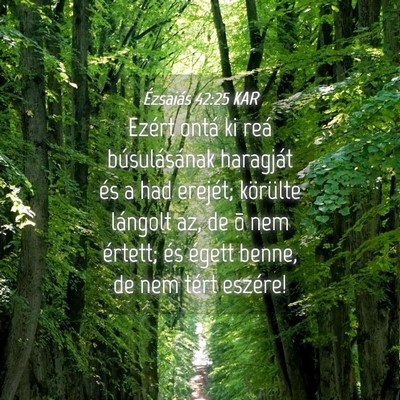 Picture 04 - Ézsaiás 42:25 KAR - Ezért ontá ki reá búsulásának haragját és - Bible Verse Picture