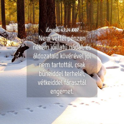 Picture 04 - Ézsaiás 43:24 KAR - Nem vettél pénzen nékem jóillatú nádat, és - Bible Verse Picture