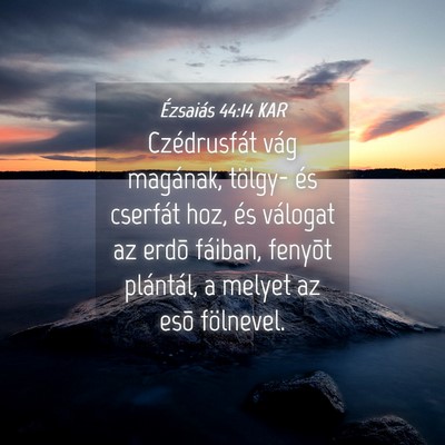 Picture 04 - Ézsaiás 44:14 KAR - Czédrusfát vág magának, tölgy- és cserfát - Bible Verse Picture