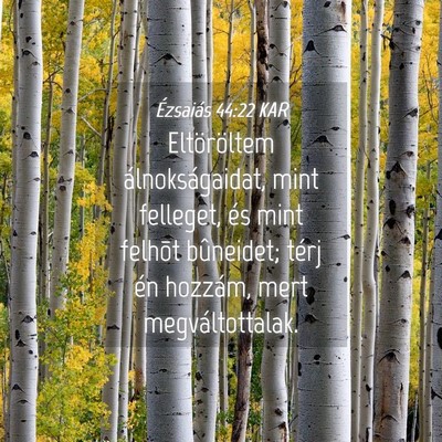 Picture 04 - Ézsaiás 44:22 KAR - Eltöröltem álnokságaidat, mint felleget, és - Bible Verse Picture