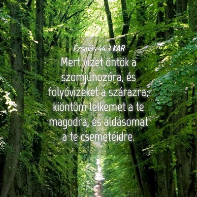 Picture 04 - Ézsaiás 44:3 KAR - Mert vizet öntök a szomjúhozóra, és - Bible Verse Picture