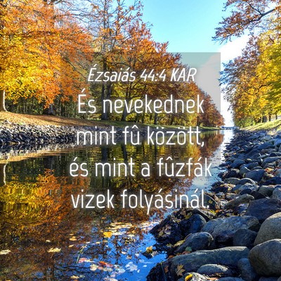 Picture 04 - Ézsaiás 44:4 KAR - És nevekednek mint fû között, és mint a - Bible Verse Picture