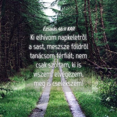 Picture 04 - Ézsaiás 46:11 KAR - Ki elhívom napkeletrõl a sast, meszsze - Bible Verse Picture