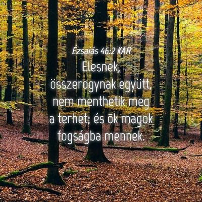 Picture 04 - Ézsaiás 46:2 KAR - Elesnek, összerogynak együtt, nem menthetik meg - Bible Verse Picture