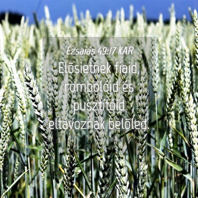 Picture 04 - Ézsaiás 49:17 KAR - Elõsietnek fiaid, rombolóid és pusztítóid - Bible Verse Picture