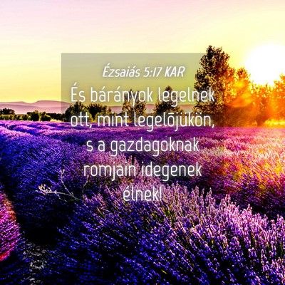 Picture 04 - Ézsaiás 5:17 KAR - És bárányok legelnek ott, mint legelõjükön, - Bible Verse Picture