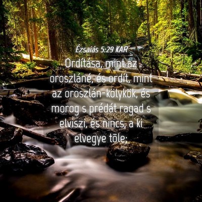 Picture 04 - Ézsaiás 5:29 KAR - Ordítása, mint az oroszláné, és ordít, mint - Bible Verse Picture