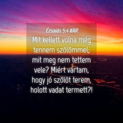 Picture 04 - Ézsaiás 5:4 KAR - Mit kellett volna még tennem szõlõmmel; mit - Bible Verse Picture