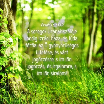 Picture 04 - Ézsaiás 5:7 KAR - A seregek Urának szõlõje pedig Izráel háza, - Bible Verse Picture