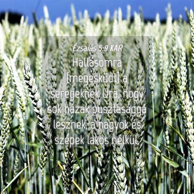 Picture 04 - Ézsaiás 5:9 KAR - Hallásomra [megesküdt] a seregeknek Ura, hogy - Bible Verse Picture
