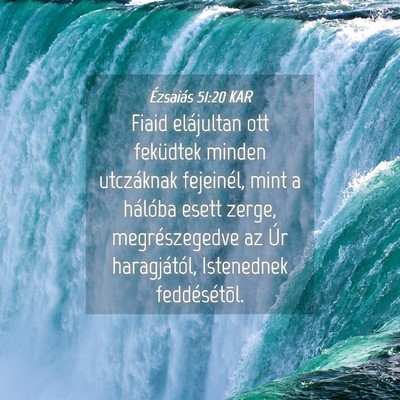 Picture 04 - Ézsaiás 51:20 KAR - Fiaid elájultan ott feküdtek minden utczáknak - Bible Verse Picture