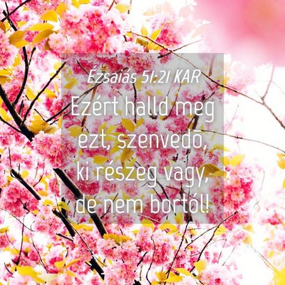 Picture 04 - Ézsaiás 51:21 KAR - Ezért halld meg ezt, szenvedõ, ki részeg vagy, - Bible Verse Picture