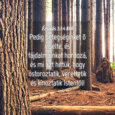 Picture 04 - Ézsaiás 53:4 KAR - Pedig betegséginket õ viselte, és - Bible Verse Picture