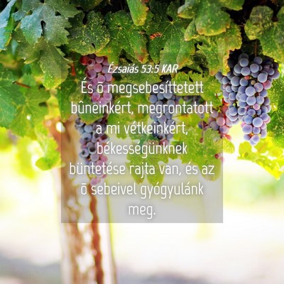 Picture 04 - Ézsaiás 53:5 KAR - És õ megsebesíttetett bûneinkért, - Bible Verse Picture