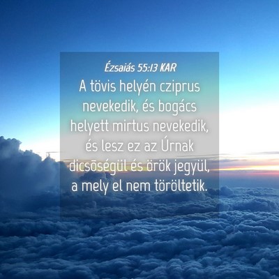 Picture 04 - Ézsaiás 55:13 KAR - A tövis helyén cziprus nevekedik, és bogács - Bible Verse Picture