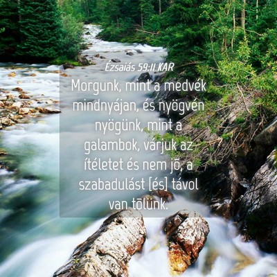 Picture 04 - Ézsaiás 59:11 KAR - Morgunk, mint a medvék mindnyájan, és - Bible Verse Picture