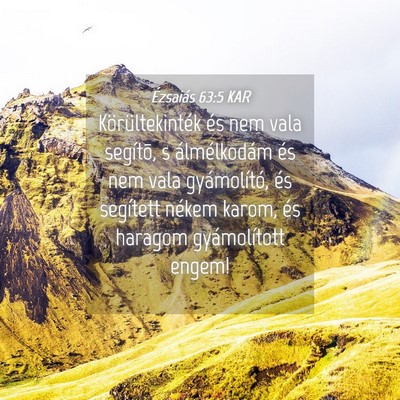 Picture 04 - Ézsaiás 63:5 KAR - Körültekinték és nem vala segítõ, s - Bible Verse Picture