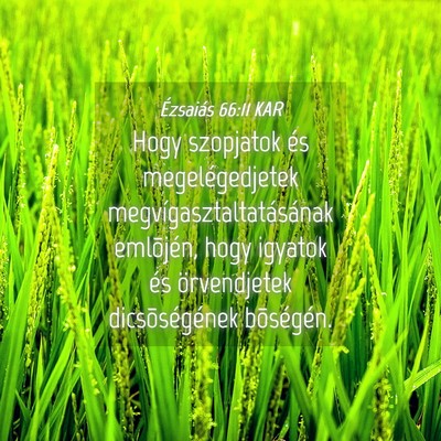 Picture 04 - Ézsaiás 66:11 KAR - Hogy szopjatok és megelégedjetek - Bible Verse Picture