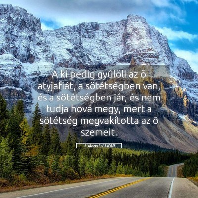 Picture 05 - 1 János 2:11 KAR - A ki pedig gyûlöli az õ atyjafiát, a - Bible Verse Picture