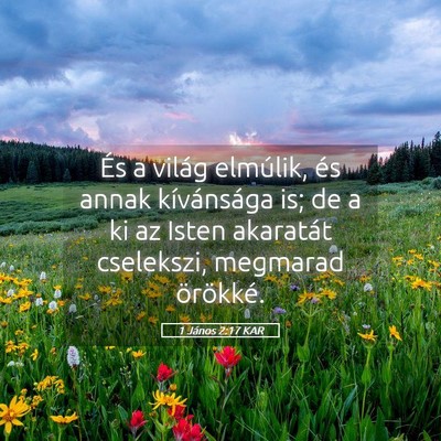 Picture 05 - 1 János 2:17 KAR - És a világ elmúlik, és annak kívánsága is; - Bible Verse Picture