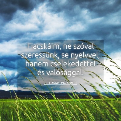 Picture 05 - 1 János 3:18 KAR - Fiacskáim, ne szóval szeressünk, se nyelvvel; - Bible Verse Picture