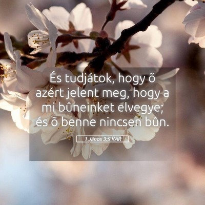 Picture 05 - 1 János 3:5 KAR - És tudjátok, hogy õ azért jelent meg, hogy a - Bible Verse Picture