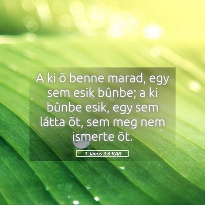 Picture 05 - 1 János 3:6 KAR - A ki õ benne marad, egy sem esik bûnbe; a ki - Bible Verse Picture
