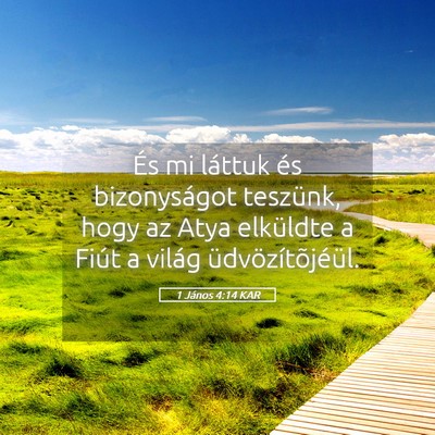 Picture 05 - 1 János 4:14 KAR - És mi láttuk és bizonyságot teszünk, hogy az - Bible Verse Picture