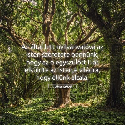Picture 05 - 1 János 4:9 KAR - Az által lett nyilvánvalóvá az Isten - Bible Verse Picture