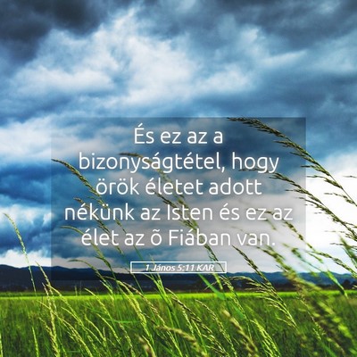 Picture 05 - 1 János 5:11 KAR - És ez az a bizonyságtétel, hogy örök életet - Bible Verse Picture