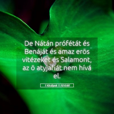 Picture 05 - 1 Királyok 1:10 KAR - De Nátán prófétát és Benáját és amaz - Bible Verse Picture