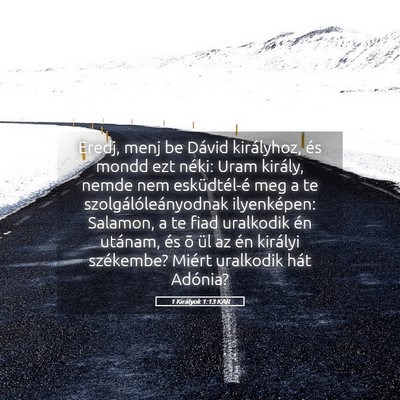 Picture 05 - 1 Királyok 1:13 KAR - Eredj, menj be Dávid királyhoz, és mondd ezt - Bible Verse Picture