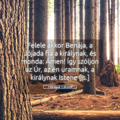 Picture 05 - 1 Királyok 1:36 KAR - Felele akkor Benája, a Jójada fia a királynak, - Bible Verse Picture
