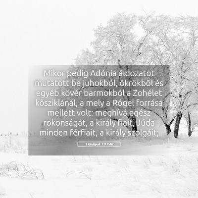 Picture 05 - 1 Királyok 1:9 KAR - Mikor pedig Adónia áldozatot mutatott be - Bible Verse Picture
