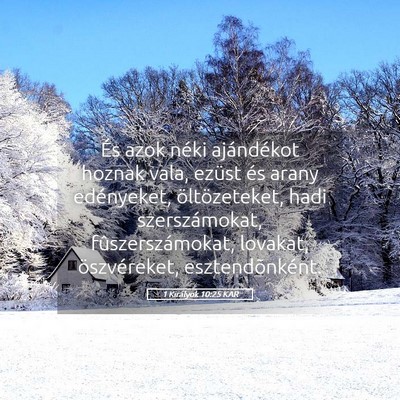 Picture 05 - 1 Királyok 10:25 KAR - És azok néki ajándékot hoznak vala, ezüst - Bible Verse Picture
