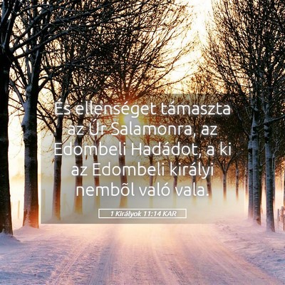 Picture 05 - 1 Királyok 11:14 KAR - És ellenséget támaszta az Úr Salamonra, az - Bible Verse Picture