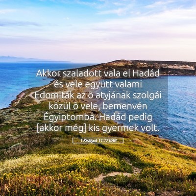 Picture 05 - 1 Királyok 11:17 KAR - Akkor szaladott vala el Hadád és vele együtt - Bible Verse Picture
